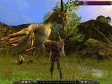 Asheron's-Call-Nachschub von Codemasters