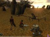 Knights of the Old Republik + Neverwinter Nights - Gemeinsamkeiten