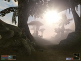 Morrowind - Interaktiv-Walkthrough
