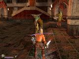 Action und Rollenspiel vereint.