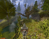 Gothic 2 - Soundtrack zum Download