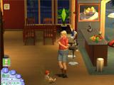 Die Sims 2 - Deutschland-Termin