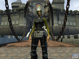 Everquest 2: Beta-Accounts f&uuml;r Gilden