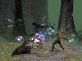 Dungeon Siege 2: Neues Bildmaterial