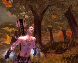 Fable für PC angekündigt [PC Games vor 5 Jahren]