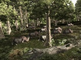 Gothic 3: Erster Patch erscheint direkt zum Release [PC Games vor 5 Jahren]