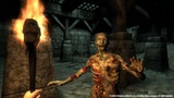 The Elder Scrolls 4: Oblivion - Multiplayer-Modus dank Fan-Mod [PC Games vor 5 Jahren]
