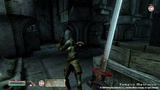 Patch 1.2.0416 f&uuml;r Oblivion und Shivering Isles erschienen