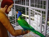 Neue Bilder und Informationen