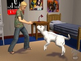 Tierische Bilder