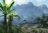 Crysis: CryEngine 2 lässt im DirectX 10-Trailer die Muskeln spielen [PC Games vor 5 Jahren]