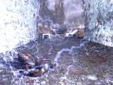 Stalker: Shadow of Chernobyl - 16 neue Screenshots erschienen [PC Games vor 5 Jahren]