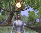 Flugreittiere für Vanguard: Saga of Heroes verfügbar