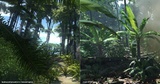 Crysis vs. Warhound - Weitere Vergleichsbilder aus dem Dschungel
