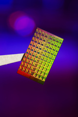 AMD 2009 mit neuen FX-Prozessoren?