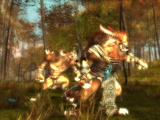 Guild Wars: Eye of the North