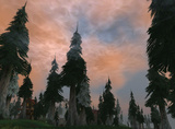 Die Umgebung von WoW: Wrath of the Lich King im Blickpunkt