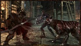 Die ersten echten Screenshots zu Dragon Age: Origins sind da!