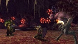 Neue Screenshots zu Der Herr der Ringe Online: Die Minen von Moria
