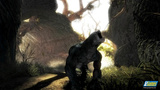 Risen: Der inoffizielle Gothic-Nachfolger ist fertig