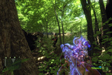 Killzone 2 meets Crysis: Erstes HD-Video + Screenshots zum 