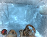 Cryostasis Test: Ein psychedelischer Trip zum eisigen Nordpol