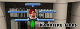 Die Sims 3 - Lösung: So meistern Sie alle Karrieren, plus Allgemeine Tipps und Cheats