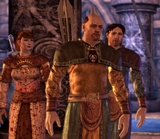 Dragon Age: Origins: Gold-Status verkündet