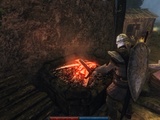 Risen Lösung: Tipps und Tricks zu Fraktionen, Attributen und Fertigkeiten