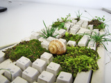 World of Warcraft: Klicker und Faceroller - welcher Mythos stimmt?