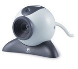 Polizei fasst Webcamspanner