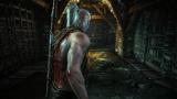 The Witcher 2: Preview-Teaser von der Gamescom 2010 zeigt Spielszenen