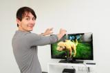 Microsoft: Kein Sex mit Kinect