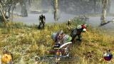 Two Worlds 2: Kostenloses Gold-Upgrade mit verbesserter Grafik