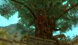 Runes of Magic: Patch 3.0.11 bringt das Liederfest und mehr nach Taborea