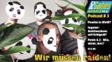 Der PC Games MMORE Podcast: Wir müssen raiden #3 - Pandas, Auktionshäuser und viel zu wenig Spieler