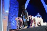 Blizzcon 2011: Tolle Cosplay-Bilder und Video vom Kostümwettbewerb