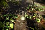 CryEngine 3 SDK 1.1 zum Download veröffentlicht - Neue Screenshots beeindruckender Modder-Kreationen