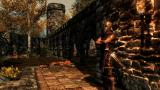 Nvidia: GeForce-Treiber 295.73 WHQL als Download - 45 Prozent mehr Leistung in Skyrim
