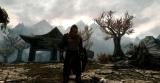 Skyrim DLC: Download-Content für The Elder Scrolls 5 soll viel Substanz bieten