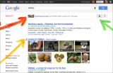 US-Handelsaufsicht FTC soll Google Search plus Your World prüfen