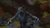 Guild Wars 2: Release - Noch kein offizielles Veröffentlichungsdatum - ArenaNet dementiert Händler-Termine