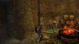 Guild Wars 2: Kommentiertes Video aus der Beta - ein Norn gegen die Flammenlegion im Charr-Gebiet