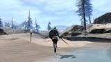 Guild Wars 2: Release-Date auf Händler-Poster aufgetaucht, Publisher NCSoft dementiert