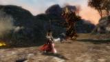 Guild Wars 2: Lags und Disconnects - Spieler klagen über Probleme