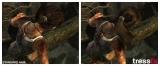 AMD TressFX: Physik-Technologie für realistische Haare - Phänomenale Bilder aus Tomb Raider 