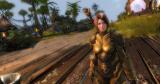 Guild Wars 2: Vorbereitungen für eine Erweiterung laufen - Verkaufszahlen sinken