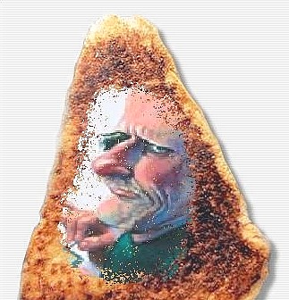 bild22.jpg