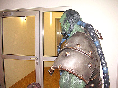 bild41d.jpg