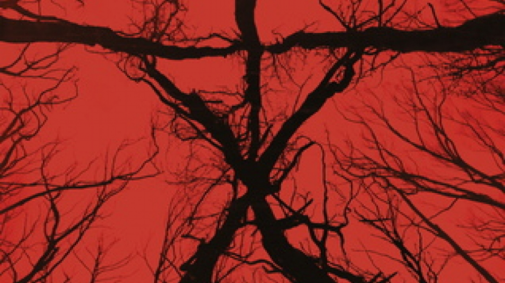 Blair Witch kehrt zurück: Der Kult-Horror bekommt ein Reboot